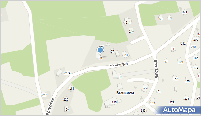 Brzezowa, Brzezowa, 36, mapa Brzezowa