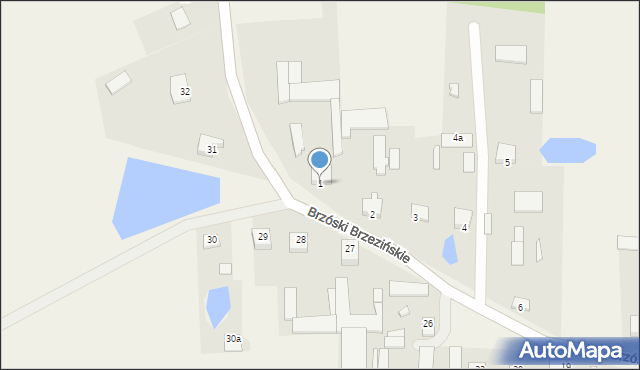 Brzóski Brzezińskie, Brzóski Brzezińskie, 1, mapa Brzóski Brzezińskie