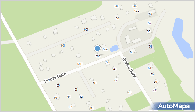 Brzóze Duże, Brzóze Duże, 55b, mapa Brzóze Duże