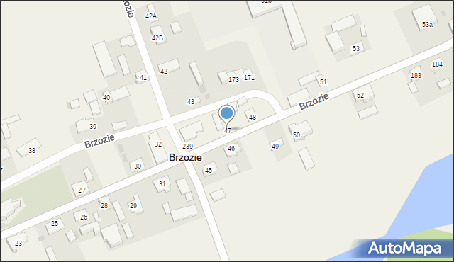 Brzozie, Brzozie, 47, mapa Brzozie