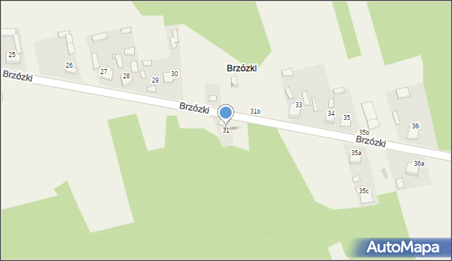 Brzózki, Brzózki, 31, mapa Brzózki