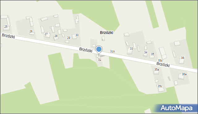 Brzózki, Brzózki, 32, mapa Brzózki