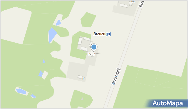 Brzozogaj, Brzozogaj, 7, mapa Brzozogaj