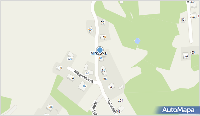 Brzyczyna, Brzyczyna, 30, mapa Brzyczyna