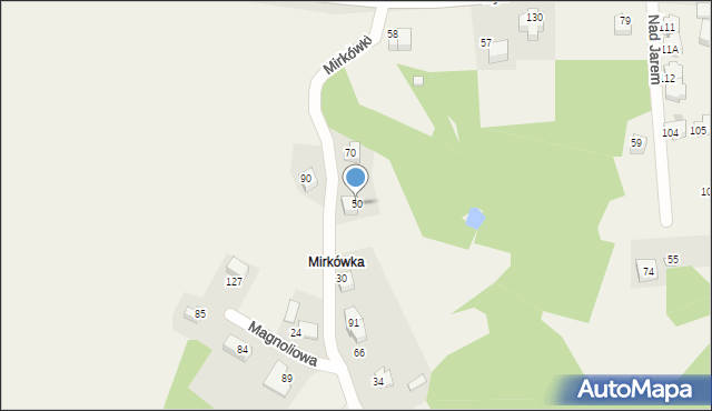 Brzyczyna, Brzyczyna, 50, mapa Brzyczyna