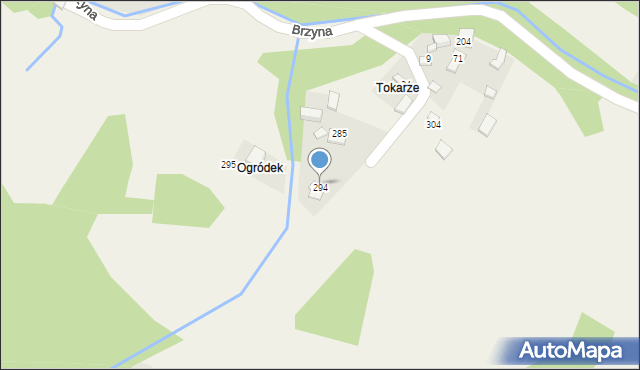 Brzyna, Brzyna, 294, mapa Brzyna