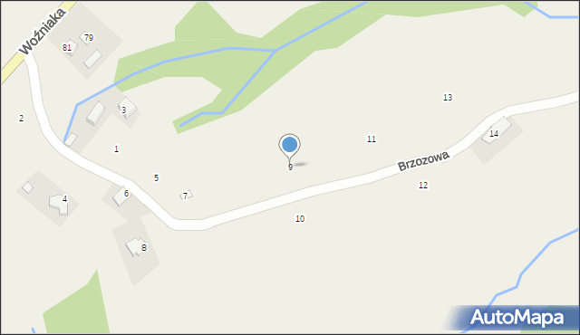 Czaszyn, Brzozowa, 9, mapa Czaszyn