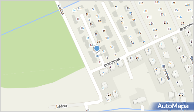 Domaszczyn, Brzozowa, 1b, mapa Domaszczyn