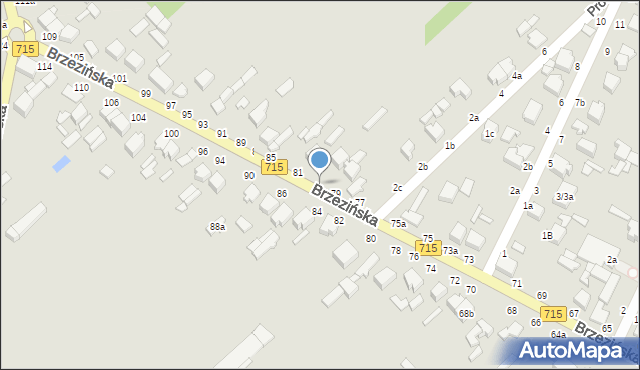 Koluszki, Brzezińska, 79a, mapa Koluszki