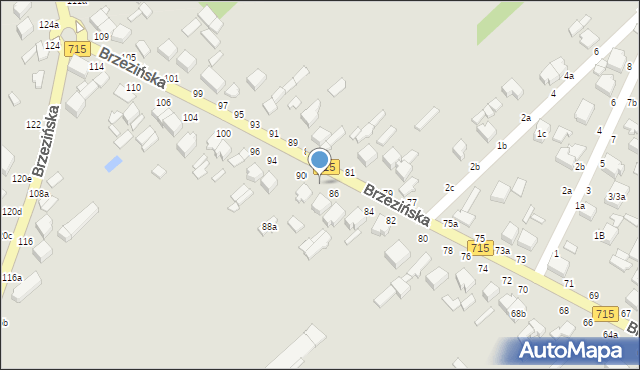 Koluszki, Brzezińska, 88, mapa Koluszki