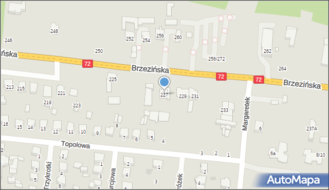 Łódź, Brzezińska, 227, mapa Łodzi