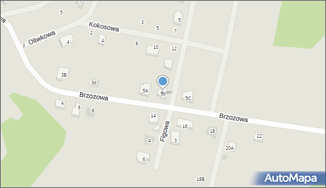 Nasielsk, Brzozowa, 5b, mapa Nasielsk