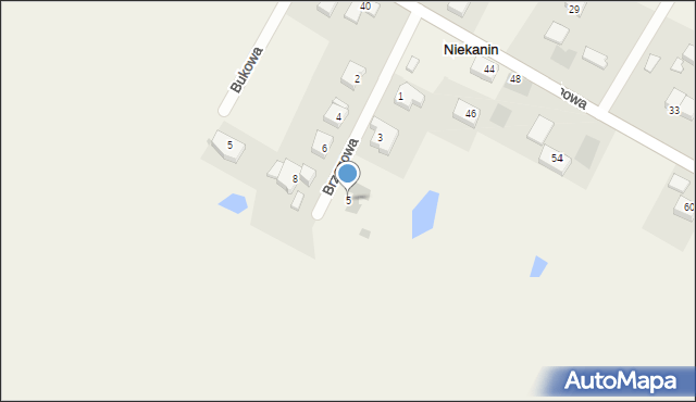 Niekanin, Brzozowa, 5, mapa Niekanin