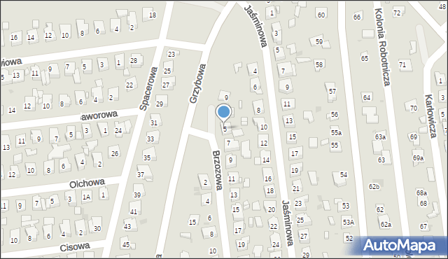 Ostrowiec Świętokrzyski, Brzozowa, 5, mapa Ostrowiec Świętokrzyski