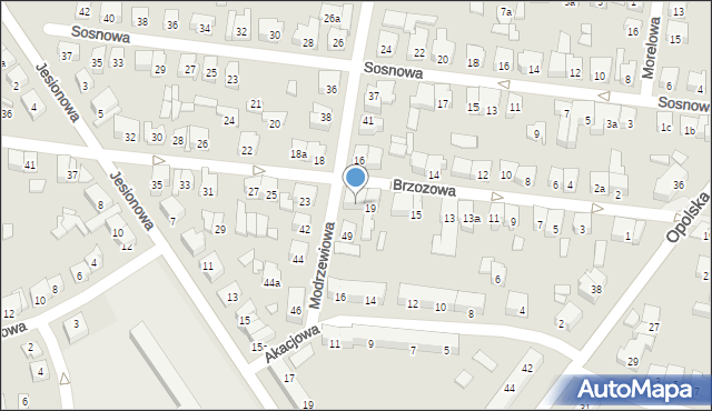 Poznań, Brzozowa, 21, mapa Poznania