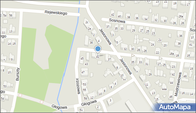 Poznań, Brzozowa, 41, mapa Poznania