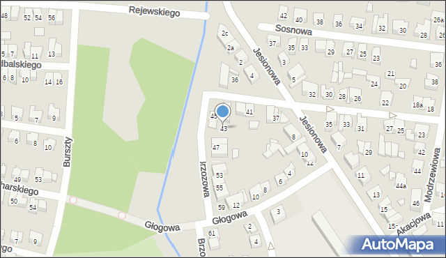 Poznań, Brzozowa, 43, mapa Poznania