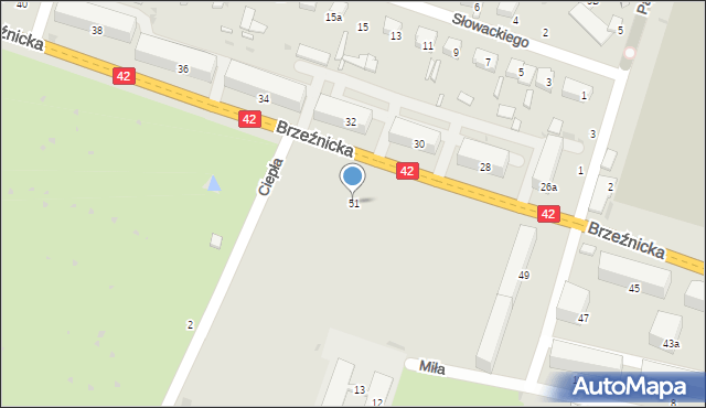 Radomsko, Brzeźnicka, 51, mapa Radomsko