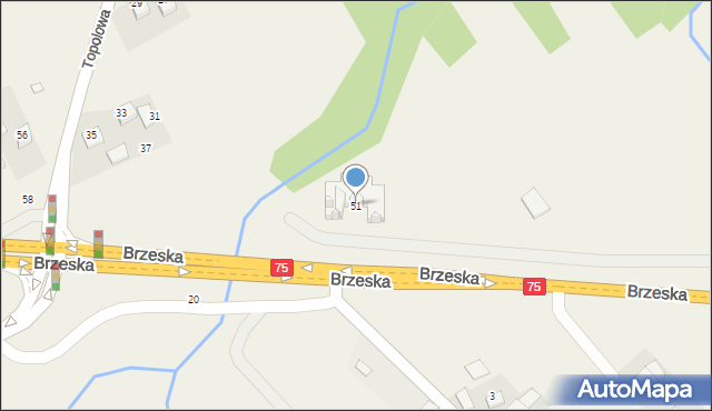 Rzezawa, Brzeska, 51, mapa Rzezawa