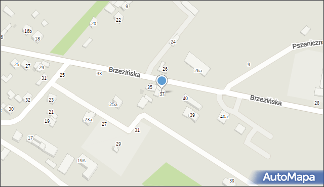 Stryków, Brzezińska, 37, mapa Stryków