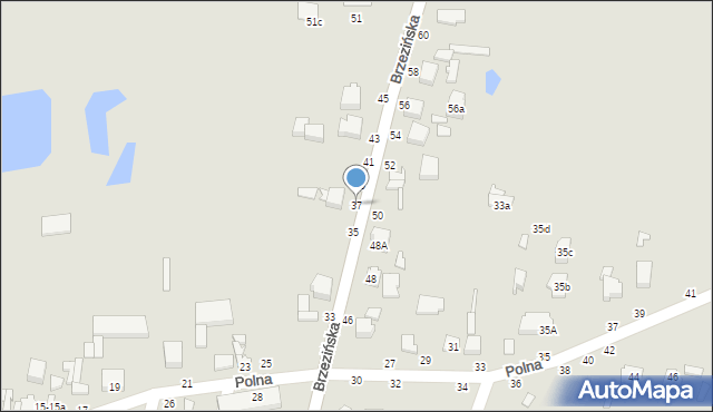 Tuszyn, Brzezińska, 37, mapa Tuszyn