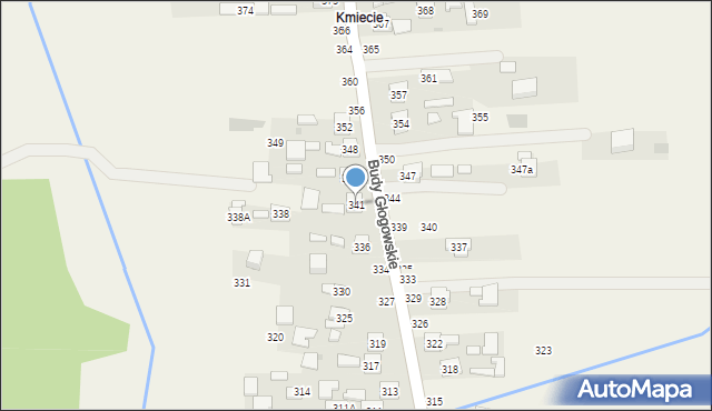 Budy Głogowskie, Budy Głogowskie, 341, mapa Budy Głogowskie