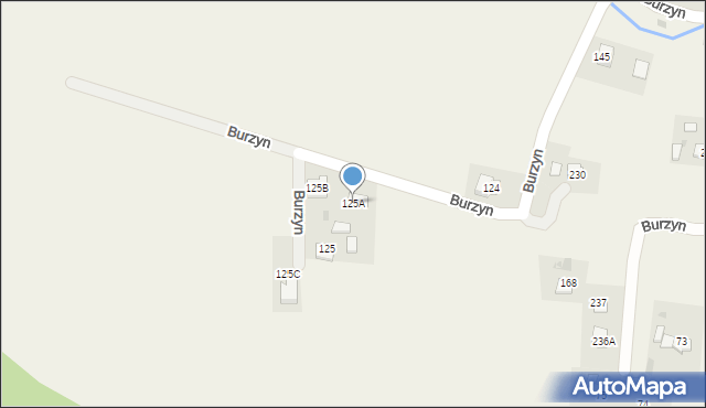 Burzyn, Burzyn, 125A, mapa Burzyn