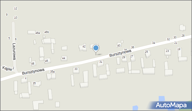 Kalisz, Bursztynowa, 42a, mapa Kalisza