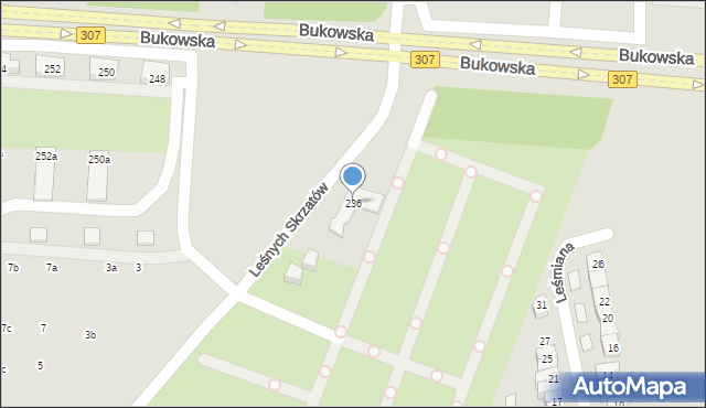 Poznań, Bukowska, 236, mapa Poznania