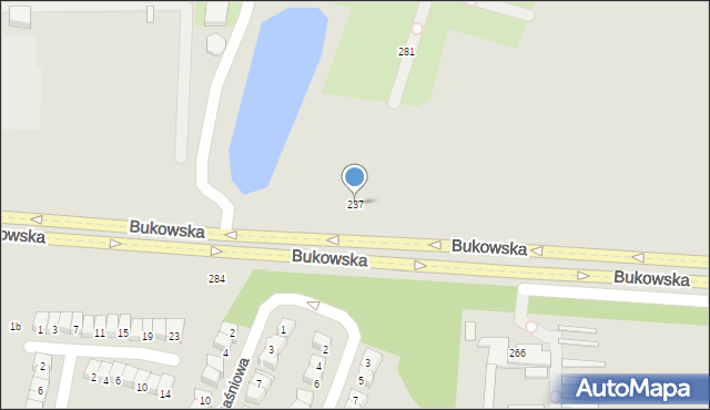 Poznań, Bukowska, 237, mapa Poznania