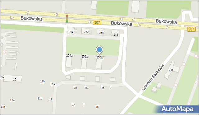 Poznań, Bukowska, 250a, mapa Poznania