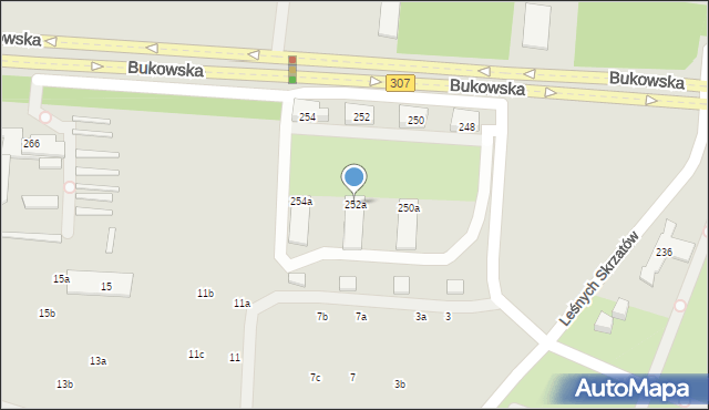 Poznań, Bukowska, 252a, mapa Poznania