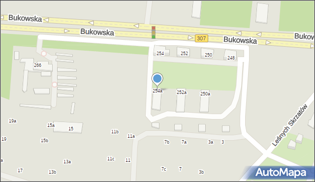 Poznań, Bukowska, 254a, mapa Poznania