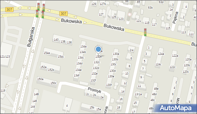 Poznań, Bukowska, 132b, mapa Poznania