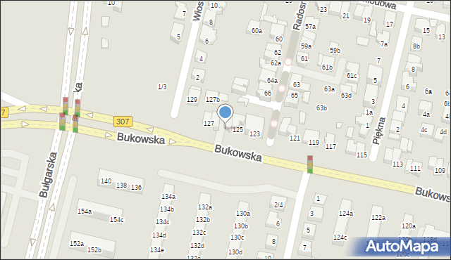 Poznań, Bukowska, 125a, mapa Poznania