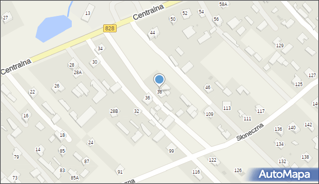 Niemce, Centralna, 38, mapa Niemce