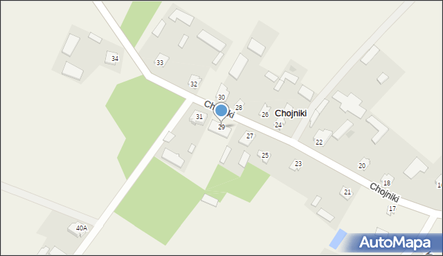 Chojniki, Chojniki, 29, mapa Chojniki