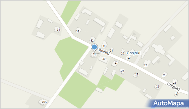 Chojniki, Chojniki, 31, mapa Chojniki