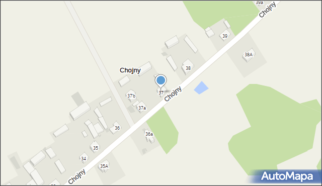 Chojny, Chojny, 37, mapa Chojny