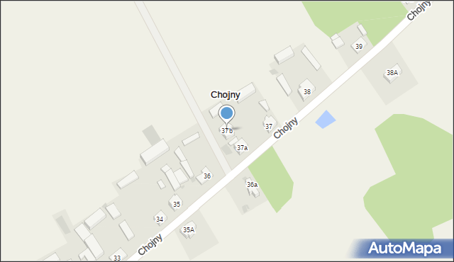 Chojny, Chojny, 37b, mapa Chojny