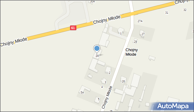 Chojny Młode, Chojny Młode, 1A, mapa Chojny Młode