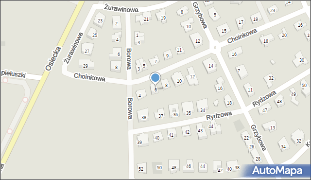 Leszno, Choinkowa, 6, mapa Leszno