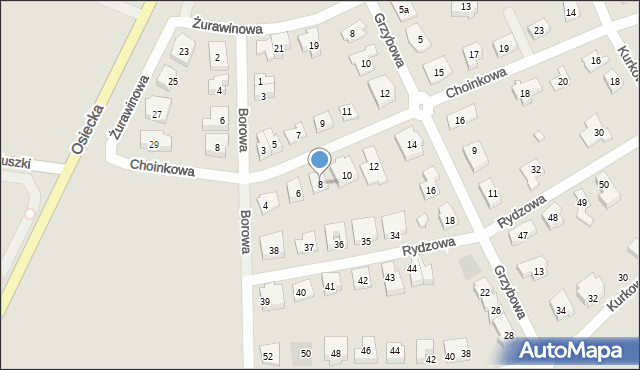 Leszno, Choinkowa, 8, mapa Leszno