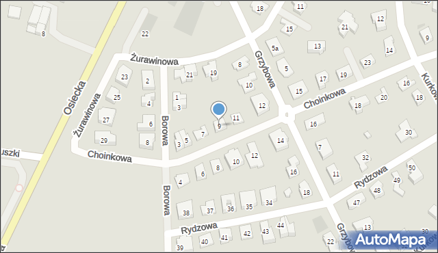 Leszno, Choinkowa, 9, mapa Leszno