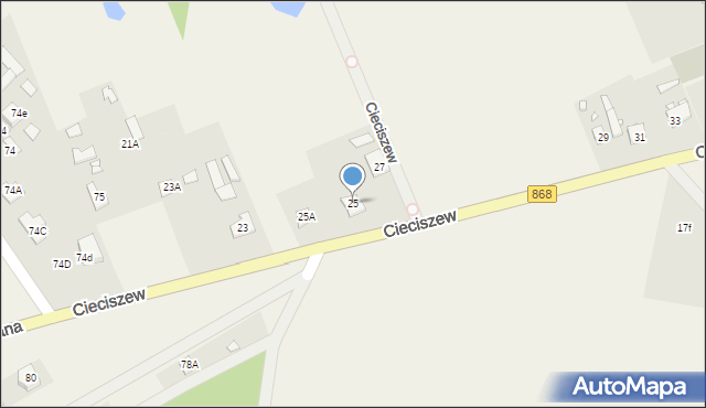 Cieciszew, Cieciszew, 25, mapa Cieciszew