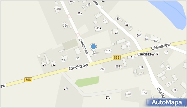 Cieciszew, Cieciszew, 37, mapa Cieciszew