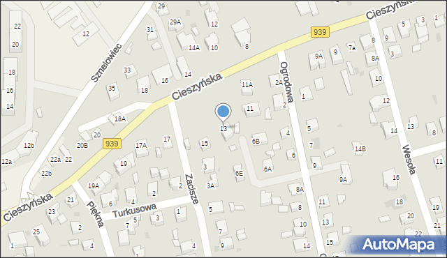 Pszczyna, Cieszyńska, 13, mapa Pszczyny