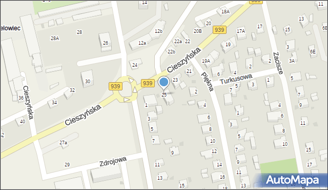 Pszczyna, Cieszyńska, 25, mapa Pszczyny