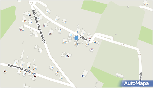 Rybnik, Cienista, 12, mapa Rybnika