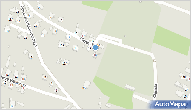 Rybnik, Cienista, 16, mapa Rybnika